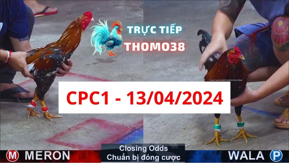 Đá gà CPC1 ngày 13-04-2024