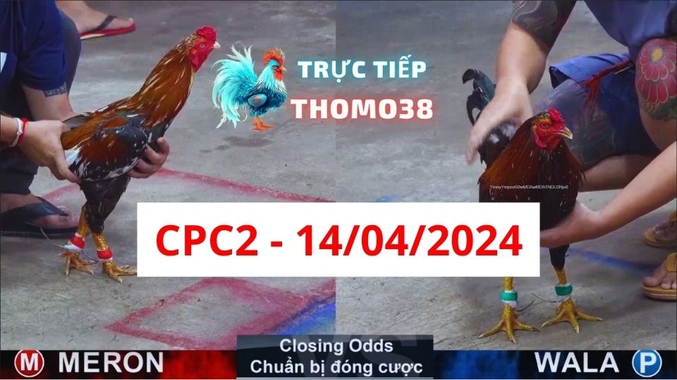 Đá gà CPC2 ngày 14-04-2024