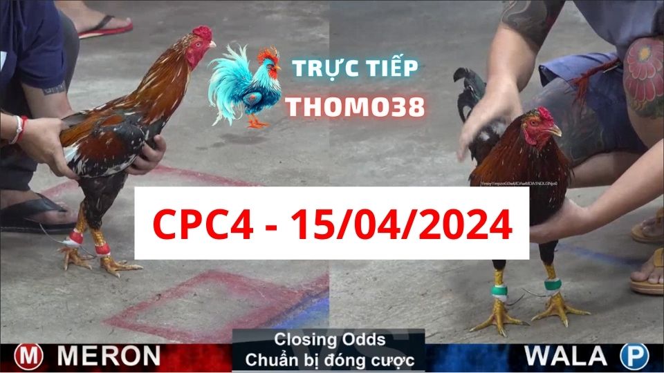 Đá gà CPC4 ngày 15-04-2024