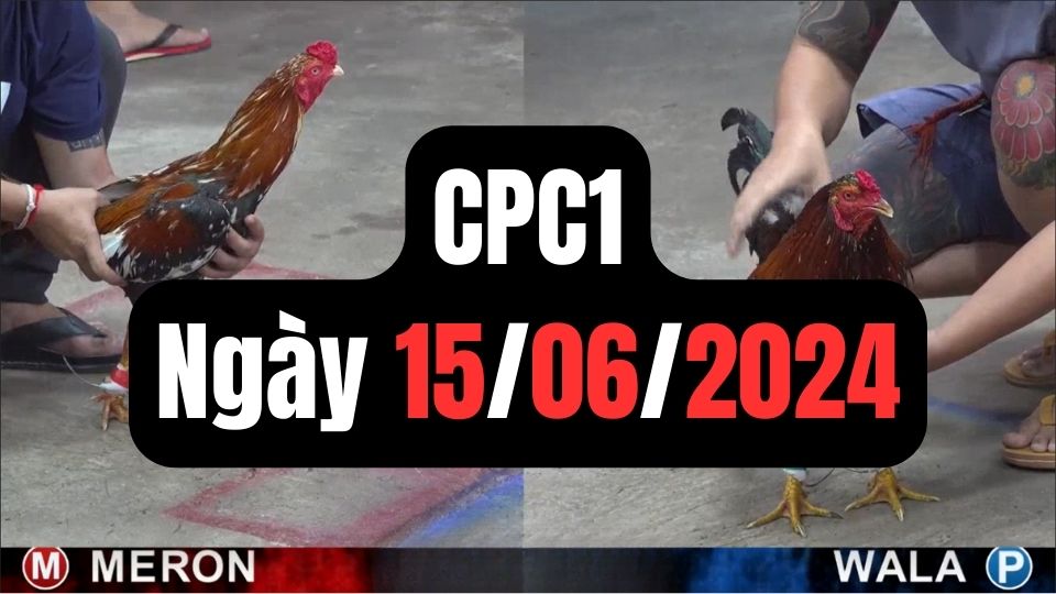 Đá gà CPC1 ngày 15-06-2024