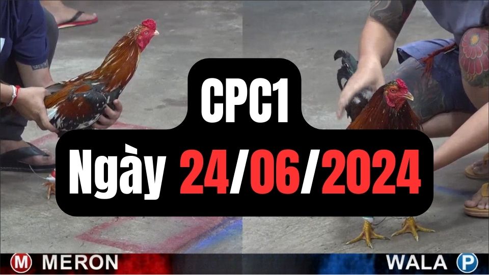 Đá gà CPC1 ngày 24-06-2024