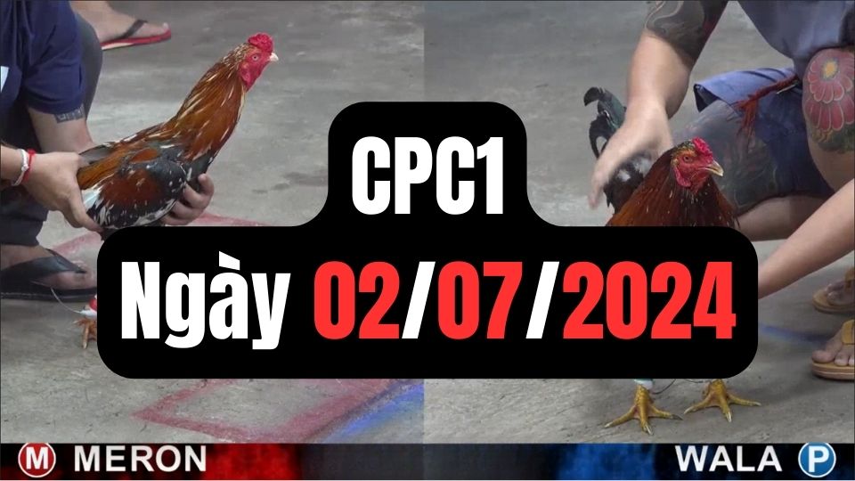 Đá gà CPC1 ngày 02-07-2024