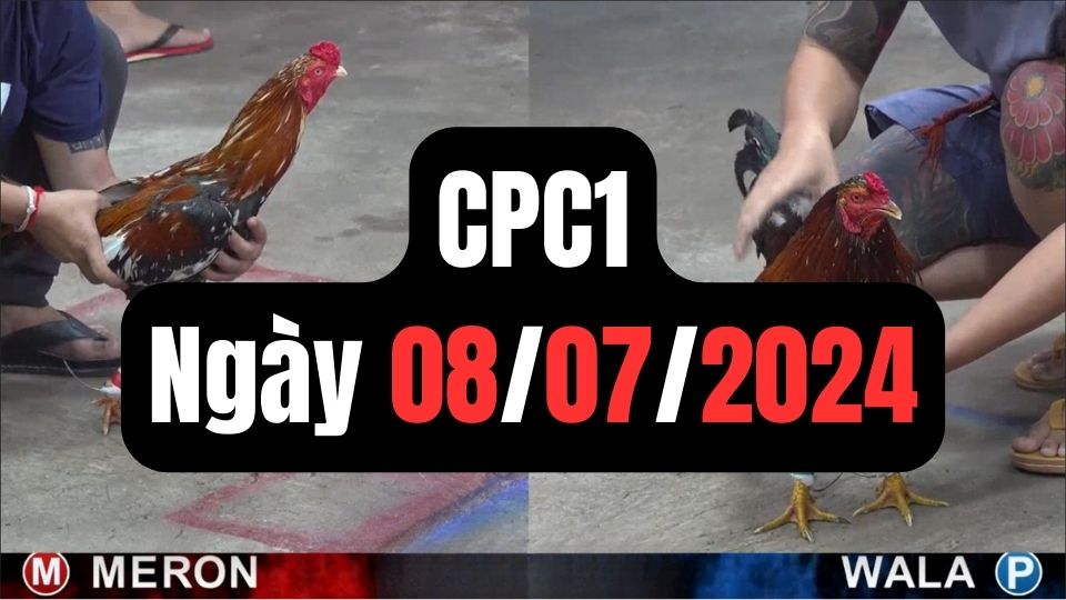 Đá gà CPC1 ngày 08-07-2024