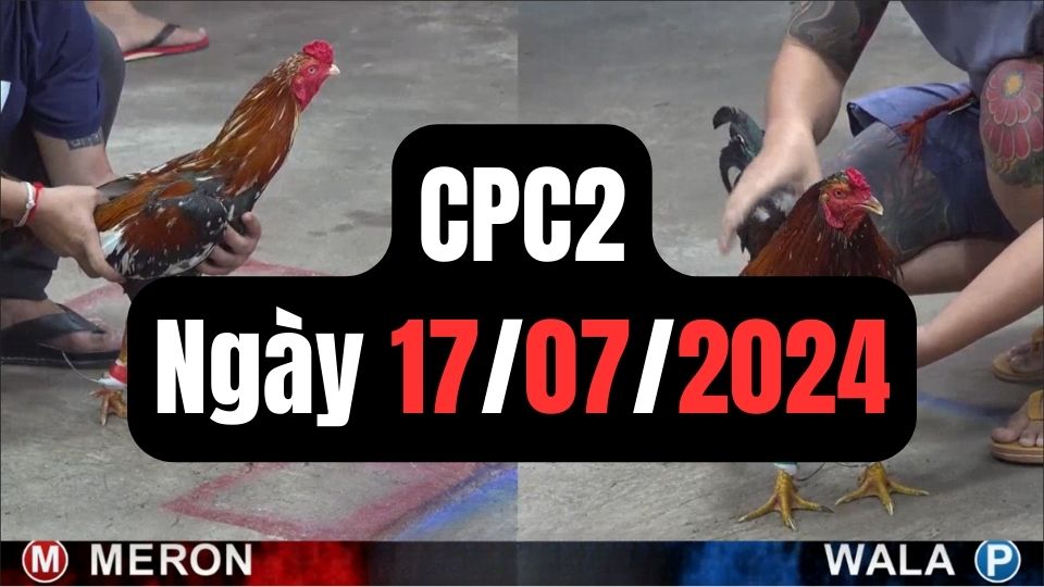 Đá gà CPC2 ngày 17-07-2024