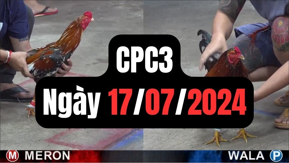 Đá gà CPC3 ngày 17-07-2024