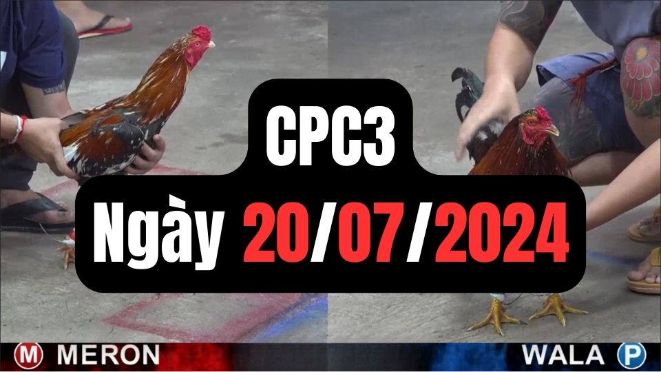 Đá gà CPC3 ngày 20-07-2024