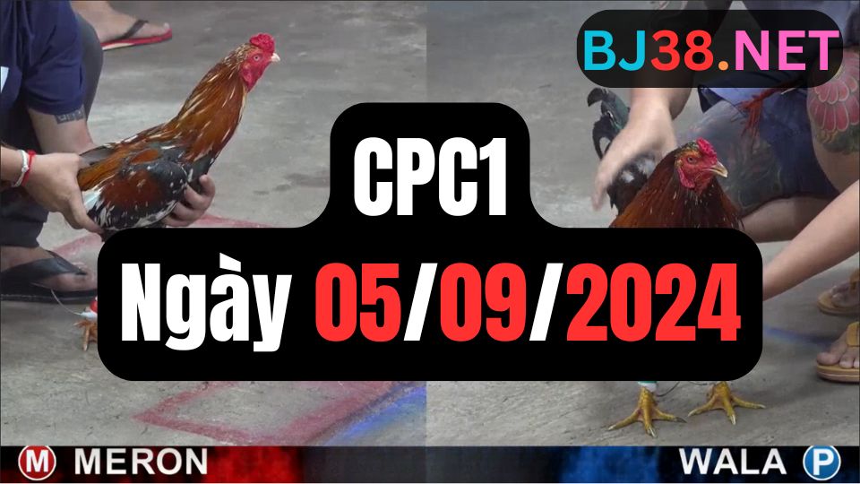 Đá gà CPC1 ngày 05-09-2024