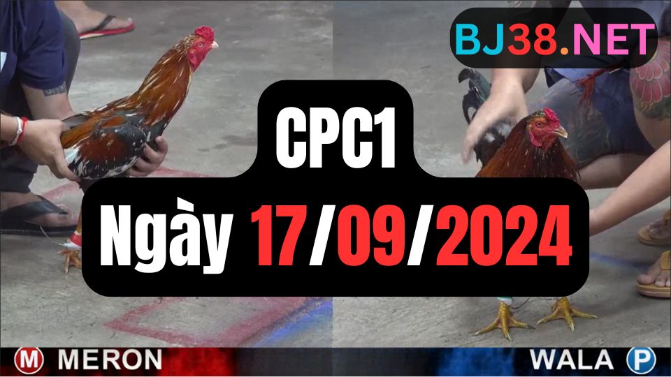 Đá gà CPC1ngày 17-09-2024