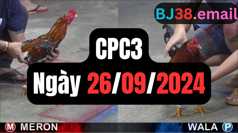 Đá gà CPC3 ngày 26-09-2024