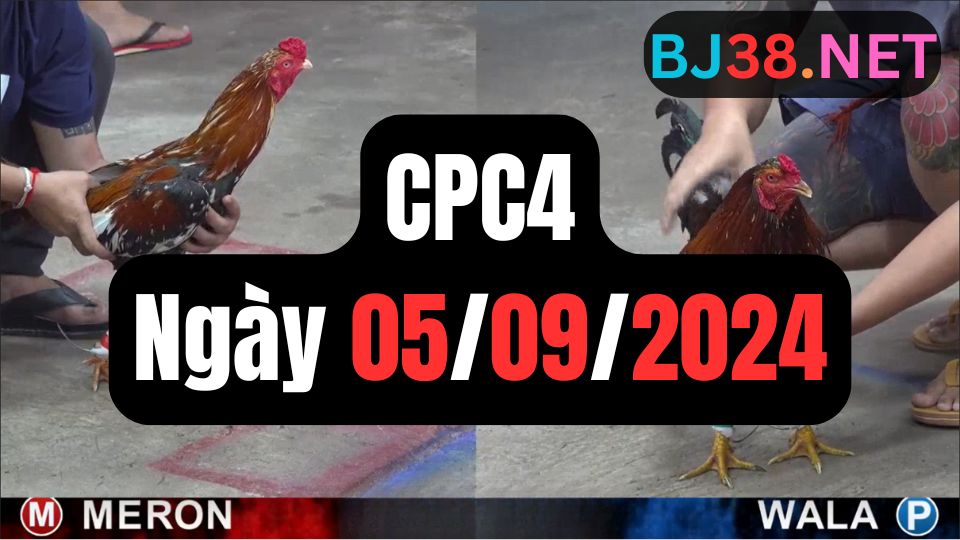 Đá gà CPC4 ngày 05-09-2024