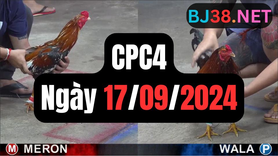 Đá gà CPC4 ngày 17-09-2024