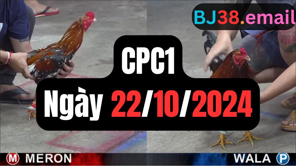 Đá gà CPC1 ngày 22-10 2024