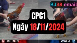 Đá gà CPC1 ngày 18-11-2024