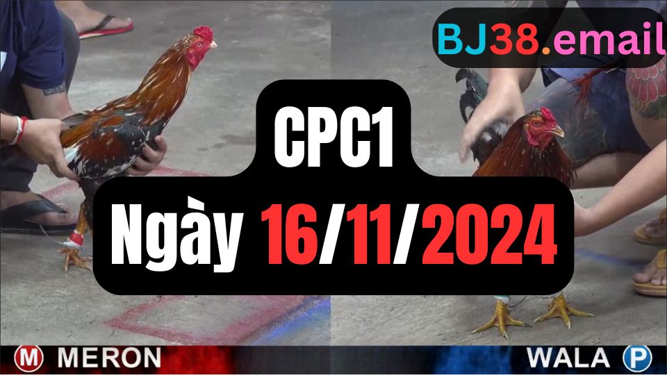 Đá gà CPC1 ngày 16-11-2024