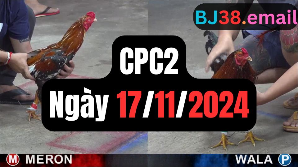 Đá gà CPC2 ngày 17-11-2024