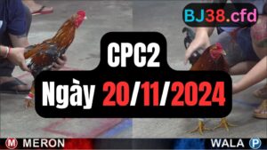 Đá gà CPC2 ngày 20-11-2024