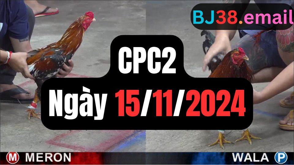 Đá gà CPC2 ngày 15-11-2024