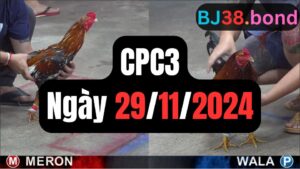 Đá gà CPC3 ngày 29-11-2024