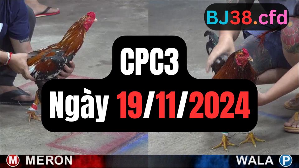 Đá gà CPC3 ngày 19-11-2024