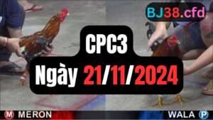 Đá gà CPC3 ngày 21-11-2024