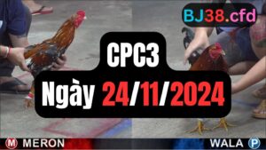 Đá gà CPC3 ngày 24-11-2024