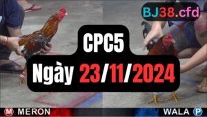 Đá gà CPC5 ngày 23-11-2024